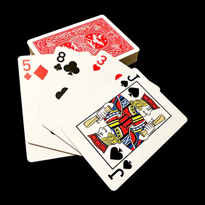 DVK Pro - Image 2