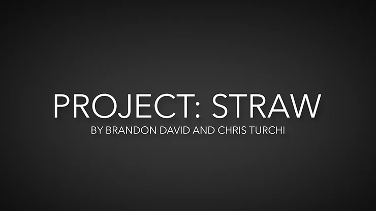 Project Straw by Brandon David & Chris Turchi video DOWNLOAD