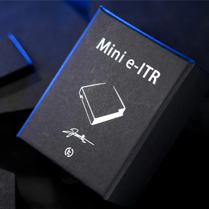 Mini e-ITR