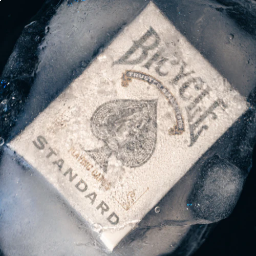 Snow Deck - Image 4